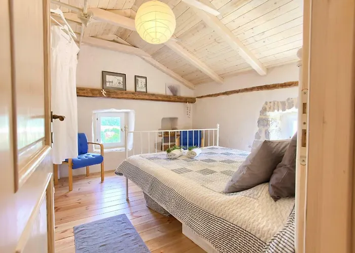 White Heritage House Holiday home Cizici