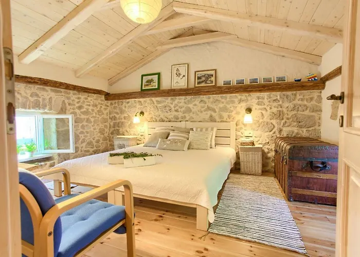 White Heritage House Holiday home Cizici